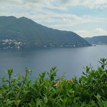 Little Garden House Villa Cernobbio Kültér fotó